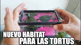 nuevo habitat tortugas pavorreal