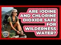 Are Iodine And Chlorine Dioxide Safe For Wilderness Water? - The Hiker's Advice