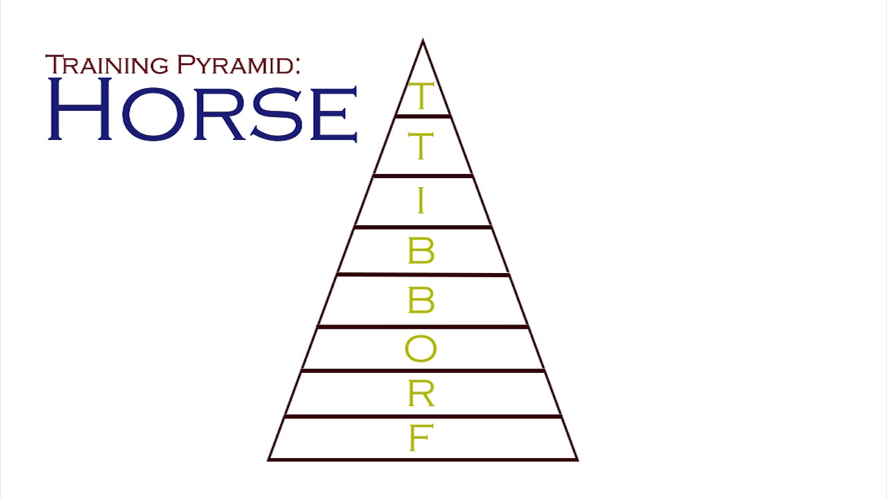 Classical Riding - Basics (Long)