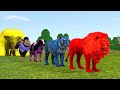 Long slide game with elephant gorilla buffalo hippopotamus tiger  3d animal game  funny 3d animals