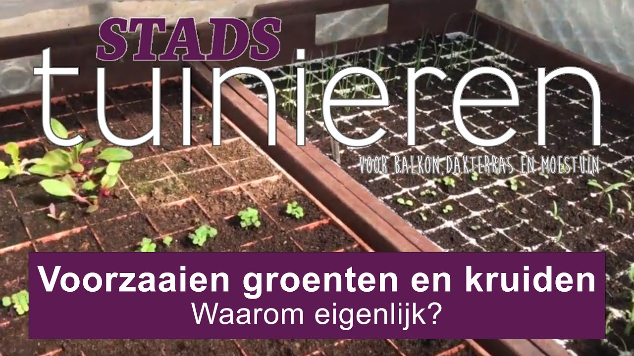 Stadstuinieren - Zaaien in februari - Waarom groenten en kruiden voorzaaien? 