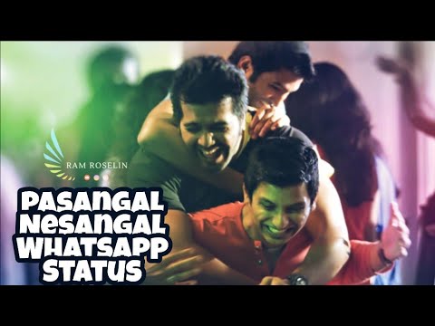 Pasangal Nesangal Yethume Indri WhatsApp StatusFriendship VersionEndrendrum Punnagai