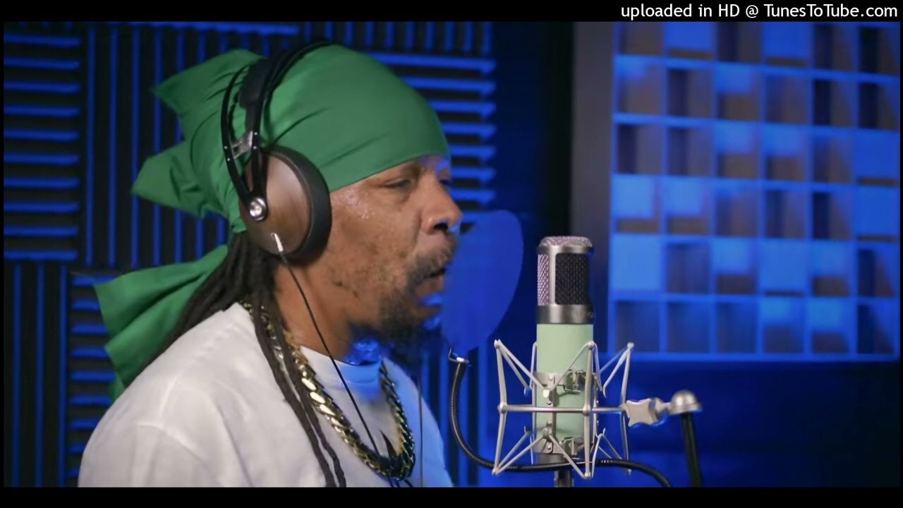 Turbulence - Dubplate - Little Lion Sound - Notorious (Evidence Music) Single 09 November 2025