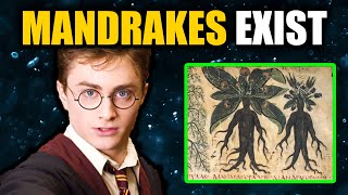 10 Harry Potter Magical Things that Actually EXIST