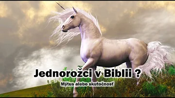 Kdo je jednorožec?