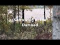 Sorrowing of The Damned