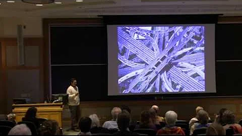 Mind and Emptiness Conference - Peter Tse, Dartmouth College