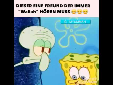 Sponspob Sponspob