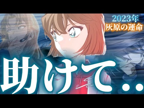 【名探偵コナン】来年どうなる..⁉︎灰原の運命を徹底予想！