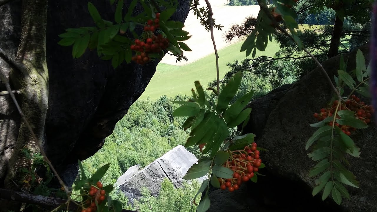 mfp - Pfaffenstein / Sächs. Schweiz (1)