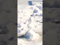 Regular snowman in Ohio
