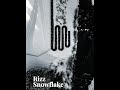 ❄️ Rizz Snowflake • Memphis Type Beat ❄️