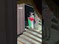 فنان بريطاني يرفع علم فلسطين على مسرح دار الأوبرا الملكية 