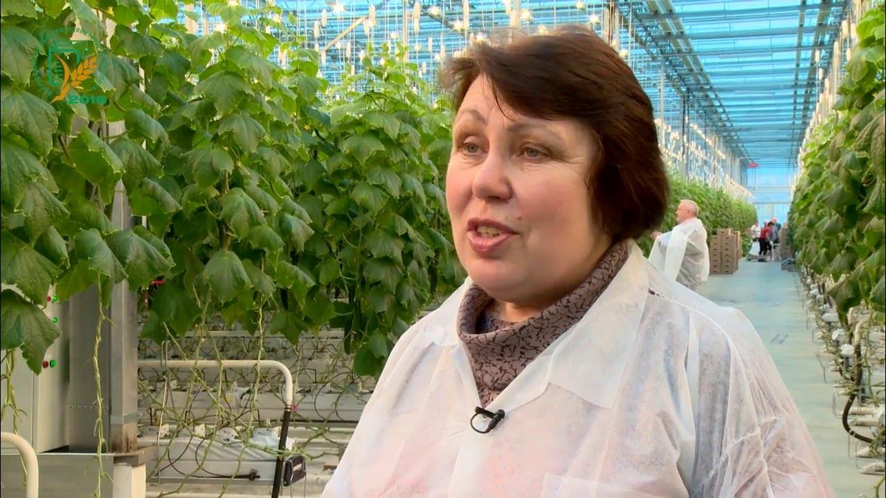 Основные сведения