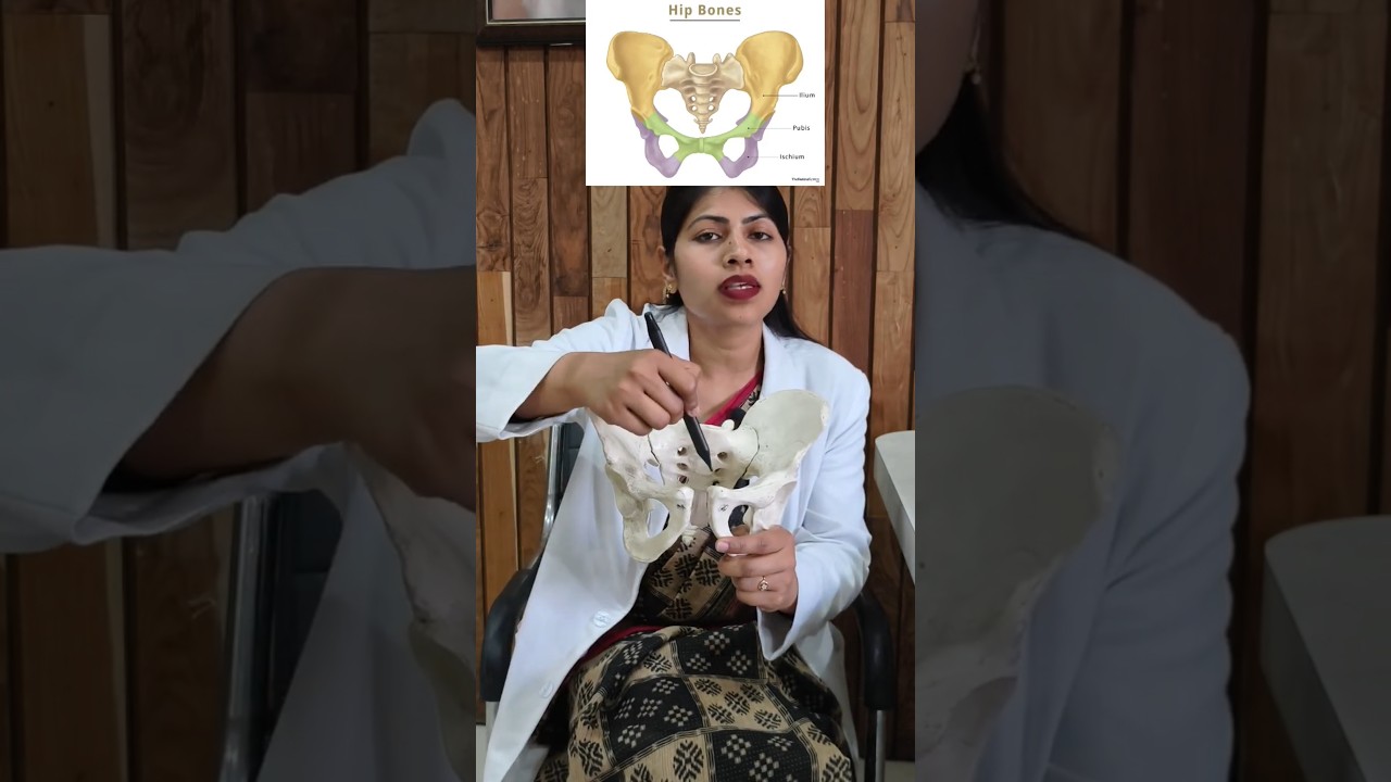 Female Pelvis ke landmarks itne easy kabhi nahi samjhe! 😳 Concept clear = marks pakka 💯 ✅