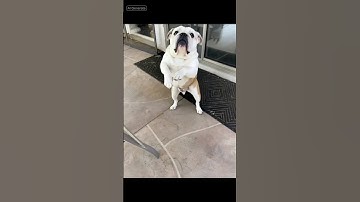 Sprinkles said “I came to get down!”🤣😎