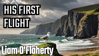 His First Flight Liam O'Flaherty || his first flight || #life and literature of liam o'flaherty