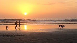 Jungles Edge Tour - Costa Rica Muay Thai Retreat