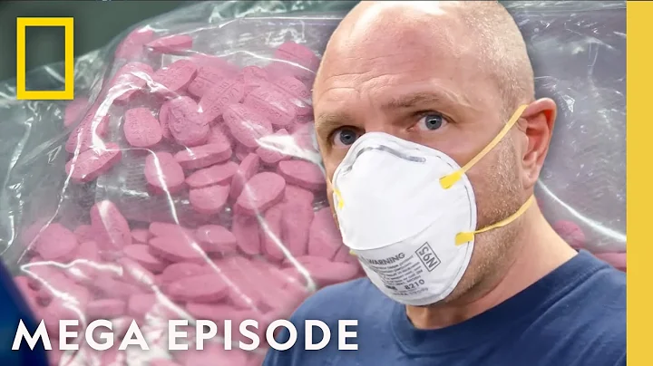 To Catch a Smuggler: Trafficking Busts | S4 MEGA EPISODE | National Geographic