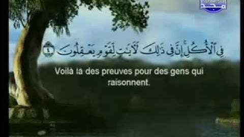 سورة الرعد كاملة الشيخان السديس و الشريم (الحرم المكي)