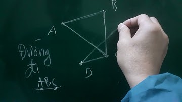 Một số khái niệm cơ bản về lý thuyết đồ thị | toán rời rạc