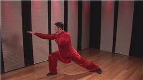 Kung Fu : Pressing Block, Spear Twist, Palm Slap & Hook Palm Combo