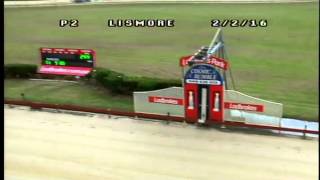Lismore-Pt-02022016-Race-2