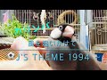 【文鳥とカリンバ】風を追いかけて〜J&#39;S THEME 1994 〜⚽️