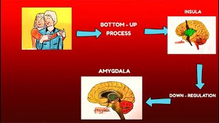 The Skin An Extension Of Our Heart