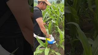 Modern Agricultural Tools Part 3637