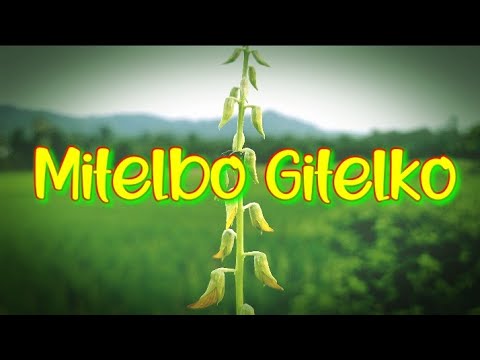 Mitelbo GitelkoAchik ringani git no 45garo gospel song