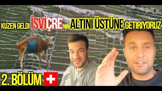 Kuzen geldi İSVİÇRE’nin ALTINI ÜSTÜNE getiriyoruz 2. Bölüm | #isviçre #oeschinensee #uri #vlog