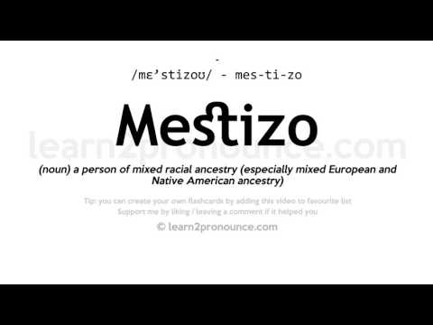 Pronunciation of Mestizo | Definition of Mestizo