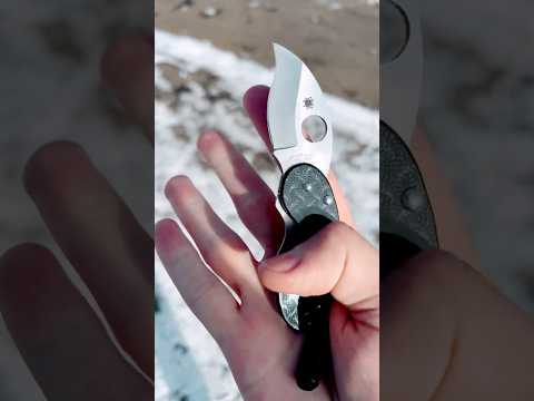 Spyderco Cricket Japan knife Спайдерко Крикет Япония#spyderco #edc #knife #japan #collection #shorts