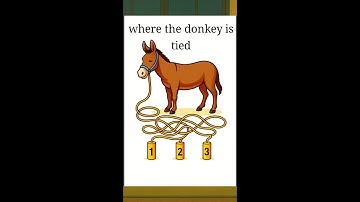 ONLY GENIUS MIND CAN SOLVE THIS PUZZLE GAME🔥🔥 let’s solve this puzzle together