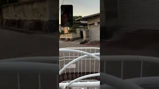 Going To Grocery In Japan Sister Serye