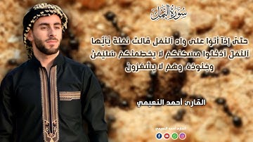 حالات واتس اب 💔😥 « حتَّىٰ إِذَا أَتَوا عَلَىٰ وَادِ النَّملِ قَالَت نَملَةٌ » | القارئ أحمد النعيمي
