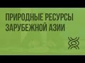 Природные ресурсы Зарубежной Азии. Видеоурок по географии 10 класс