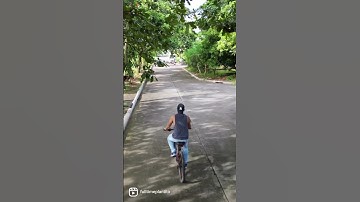 DJI Mavic Mini 3 Pro | Active Track / Obstacle Avoidance Quick Test