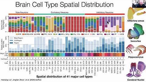 Joe Ecker: Spatiotemporal DNA methylome dynamics of the developing mouse fetus and beyond