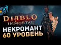 Некромант 60 УРОВЕНЬ в Diablo Immortal - Сервер Blood Rose - Стрим с 4G! БЕЗ VPN!