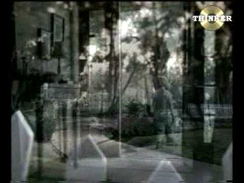 VISA卡（认领野生动物篇）