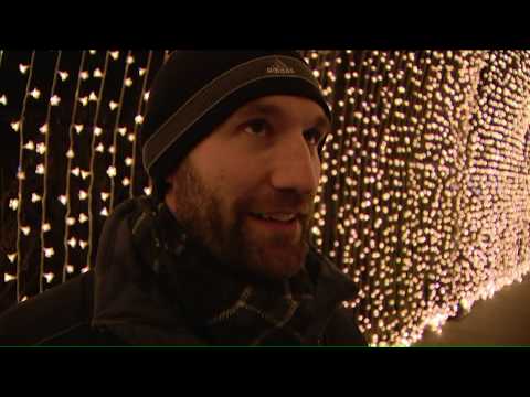 Chicago Botanic Garden debuts Lightscape
