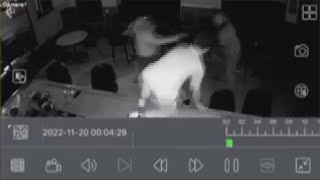 Palm Coast bartender who jumped over bar, rescued woman being held at gunpoint gets Lifesaving Award