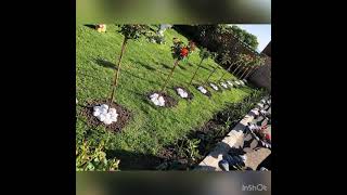 Diy - Yard Tour Ideja Za Uredjenje Dvorista, Vrta