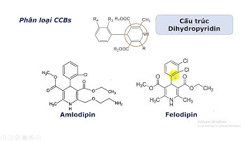Hóa Dược 2: Nhóm Thuốc Chẹn Kênh Canxi