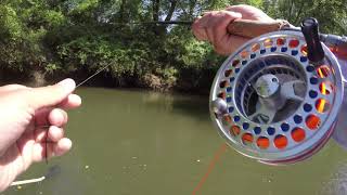 Our First Ever Fly Fishing Trip for Musky on The French Broad River