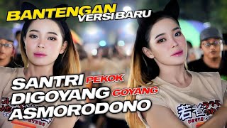 DJ BANTENGAN TERBARU - SANTRI PEKOK FULL ALBUM GAYENG SPESIAL CAMPURSARI LAGU VIRAL