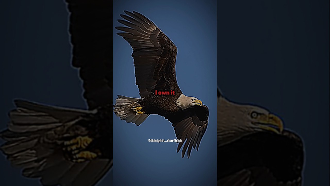 No one can beat Nature's creative 💪💀 