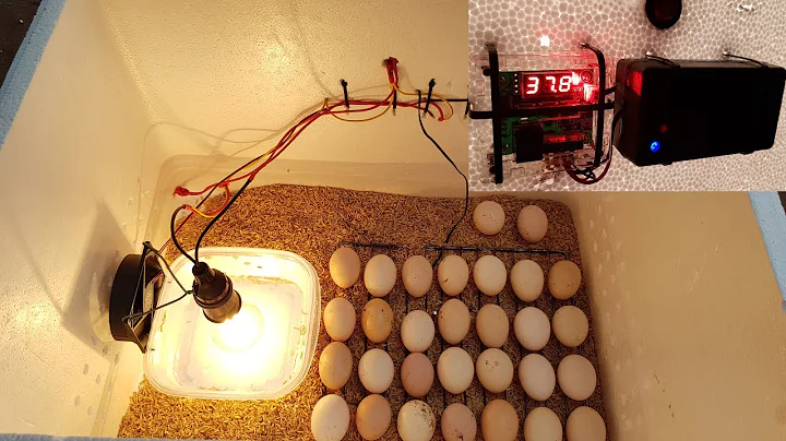 How to make a Hatching Egg Incubator at home